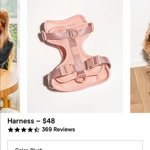 Wild One Pink Harness Medium